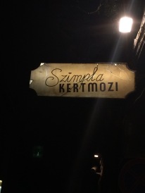 Szimpla Kert - Ruin Bar Pub Tour in Budapest, Hungary